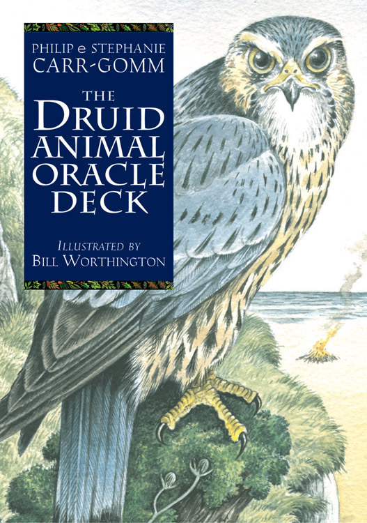 druid animal oracle